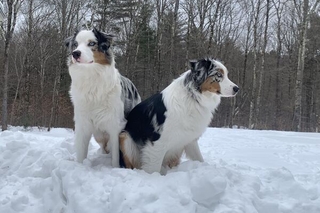 Yoli and Cuca