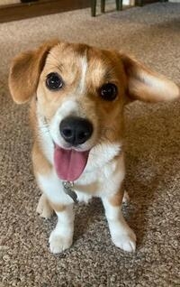 Lena