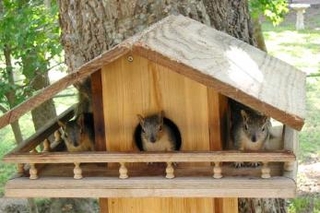housing